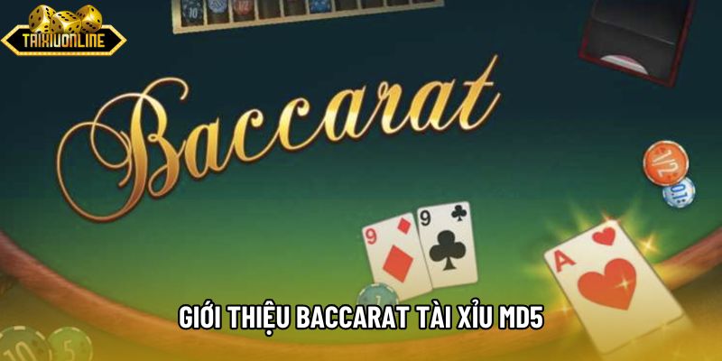 Giới thiệu baccarat Tài xỉu md5