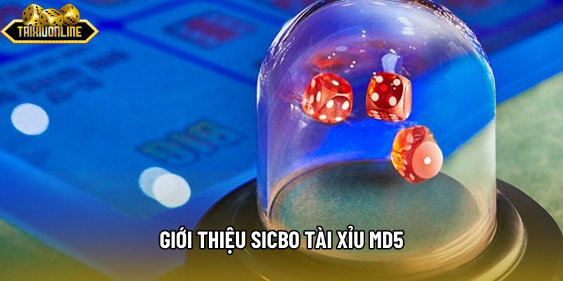 Giới thiệu sicbo Tài xỉu md5 Giới thiệu sicbo Tài xỉu md5