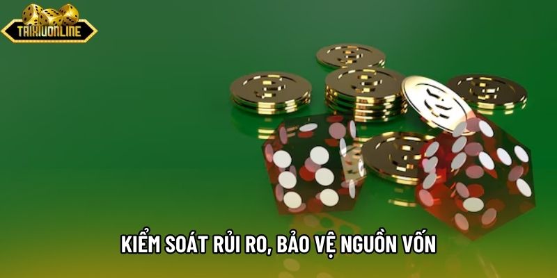 Kiểm soát rủi ro, bảo vệ nguồn vốn