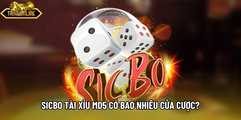 Sicbo Tài xỉu md5 có bao nhiêu cửa cược? Sicbo Tài xỉu md5 có bao nhiêu cửa cược?