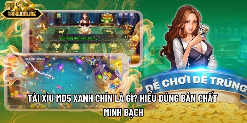 Tài Xỉu MD5 Xanh Chín Là Gì? Hiểu Đúng Bản Chất Minh Bạch